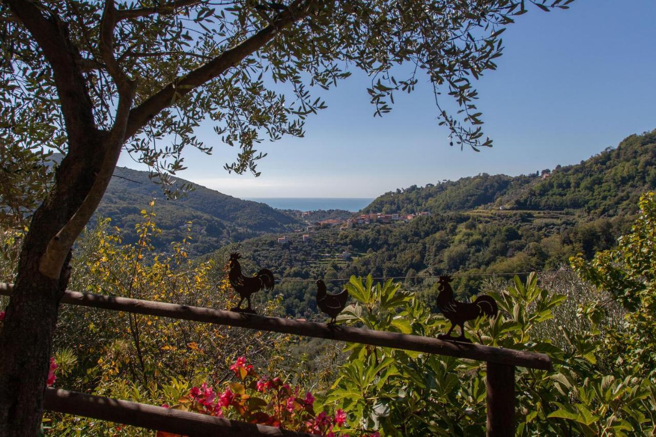 Pietrantica - Affittacamere Con Giardino Nuova Apertura A Trebiano -Citr المظهر الخارجي الصورة