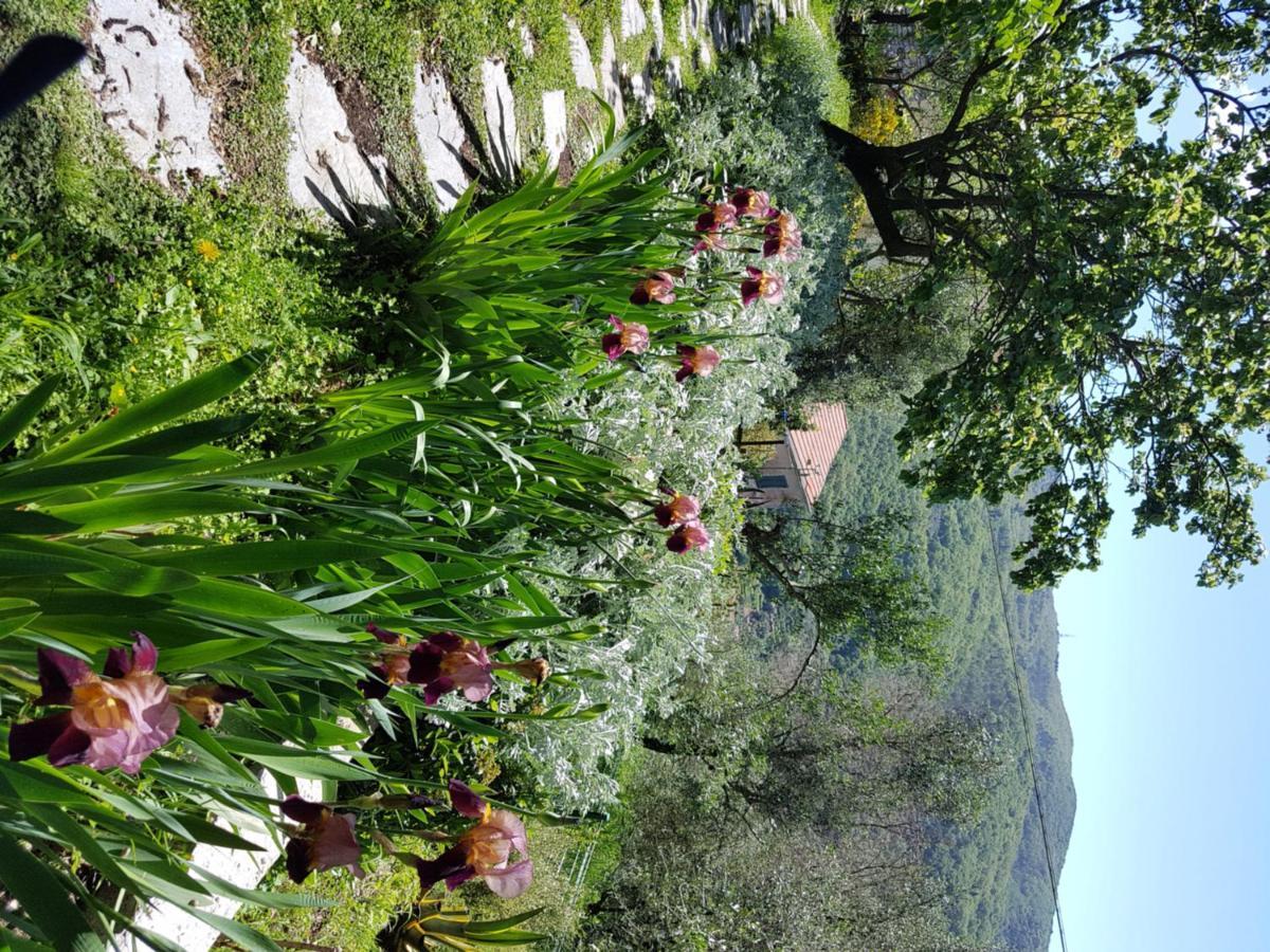 Pietrantica - Affittacamere Con Giardino Nuova Apertura A Trebiano -Citr المظهر الخارجي الصورة