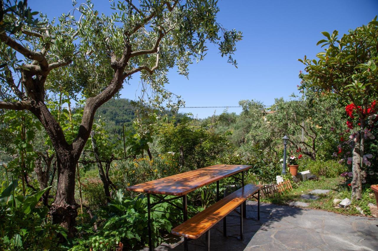Pietrantica - Affittacamere Con Giardino Nuova Apertura A Trebiano -Citr المظهر الخارجي الصورة