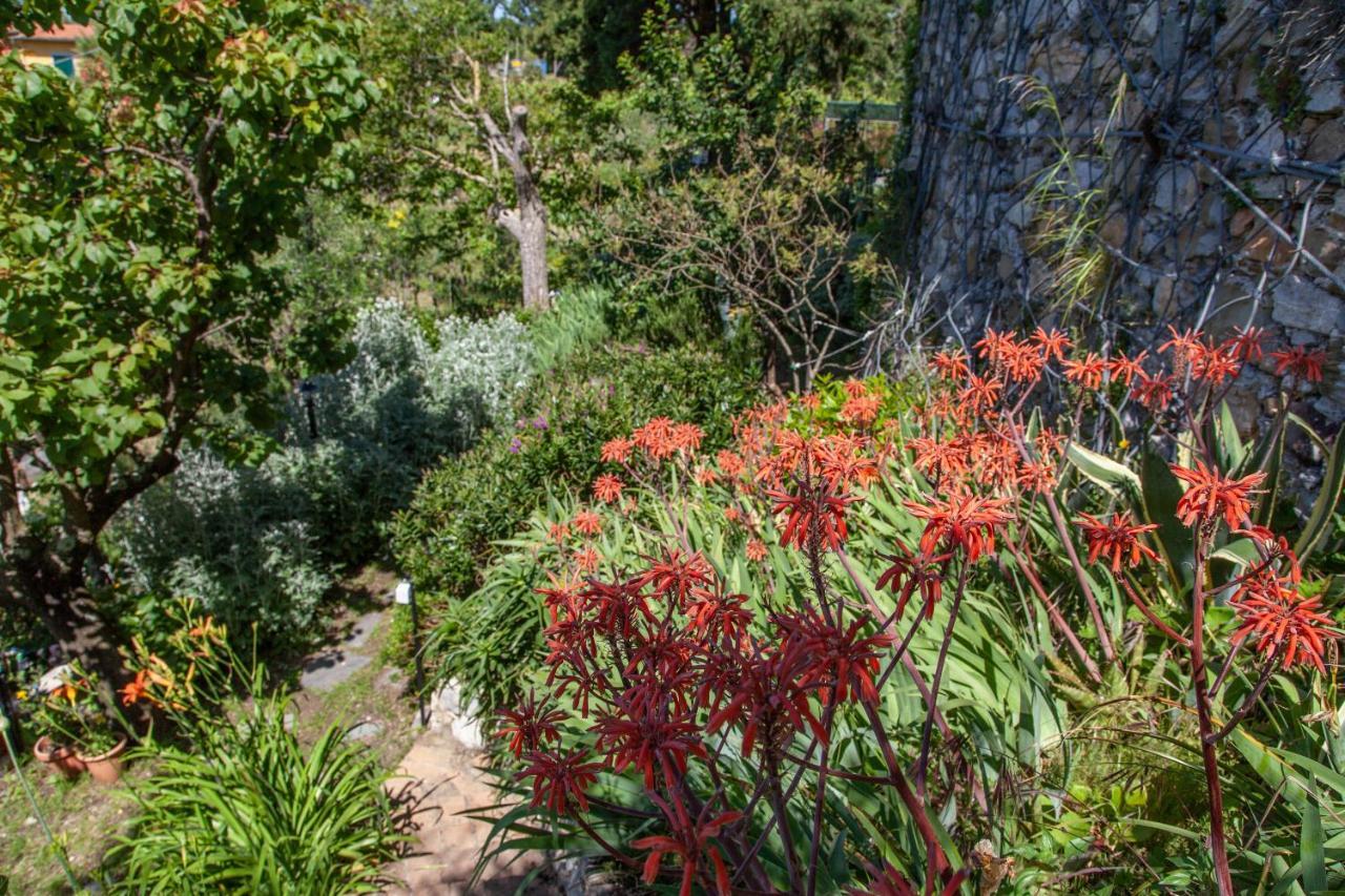Pietrantica - Affittacamere Con Giardino Nuova Apertura A Trebiano -Citr المظهر الخارجي الصورة